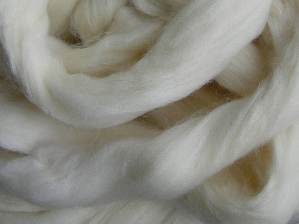 dtmw Deutsche Merino weiß