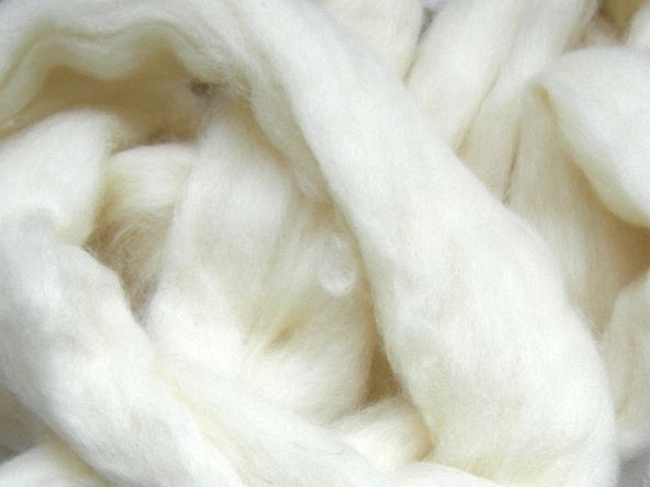 bflw Bluefaced Leicester weiß