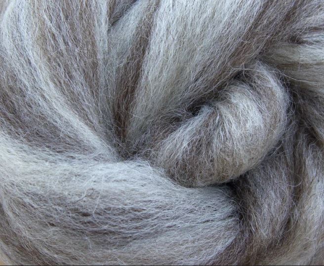 bfl_humbug Bluefaced Leicester Humbug
