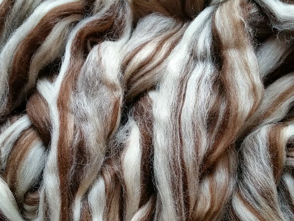 crdh Corriedale Humbug