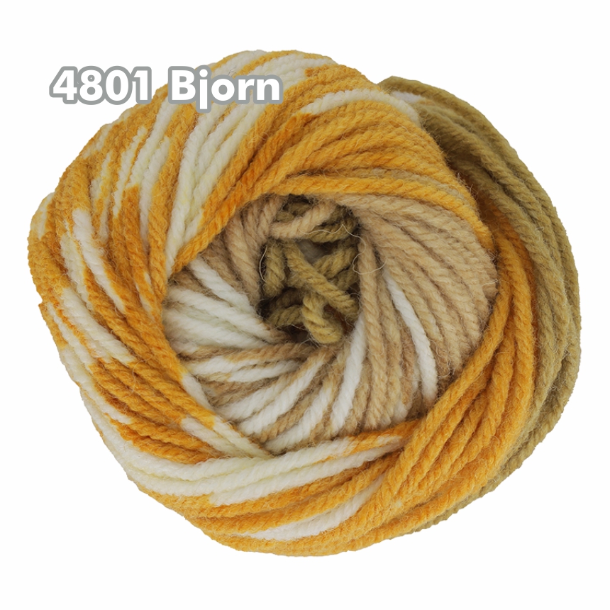 4801 Bjorn