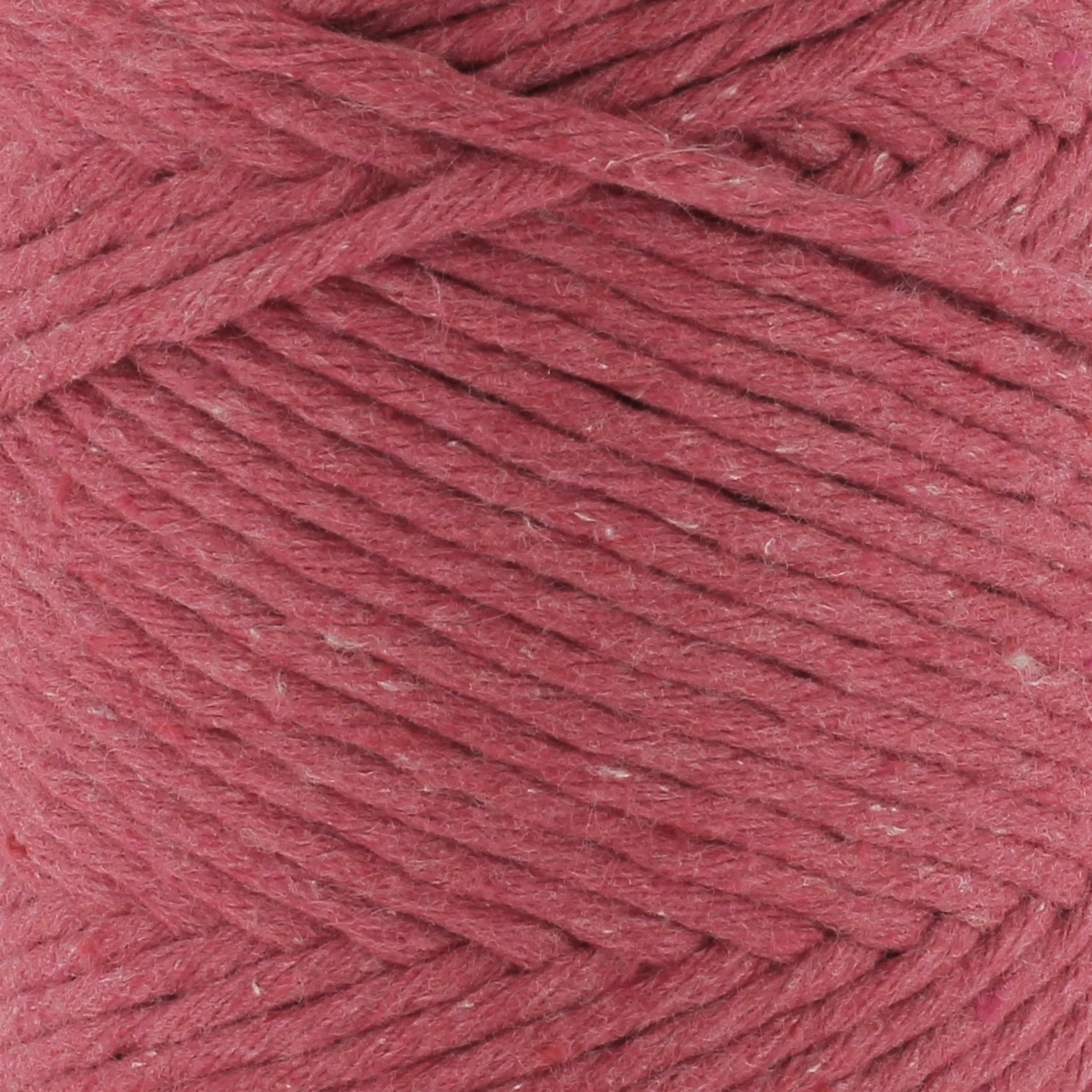 S1070 Coral
